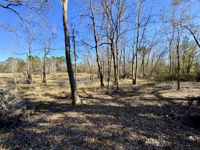 3046 SW Captain Brown Rd, Madison, FL 32340 - photo 5