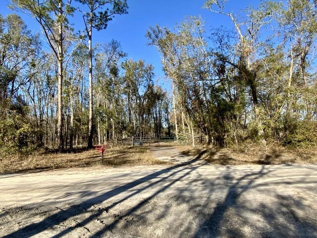 3046 SW Captain Brown Rd, Madison, FL 32340 - photo 35