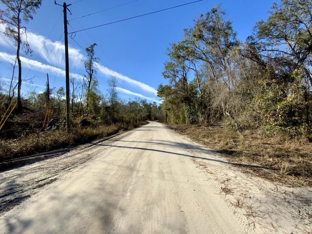3046 SW Captain Brown Rd, Madison, FL 32340 - photo 34
