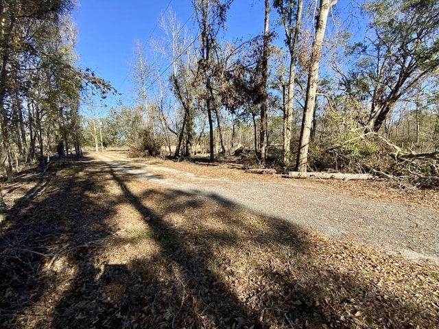 Listing photo 2 for 3046 SW Captain Brown Rd, Madison FL 32340