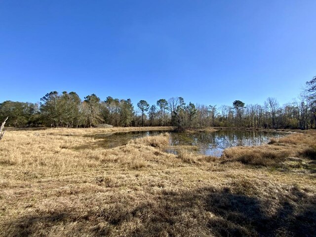 3046 SW Captain Brown Rd, Madison, FL 32340 - photo 11