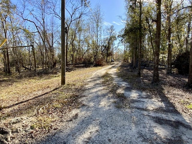 3046 SW Captain Brown Rd, Madison, FL 32340 - photo 32