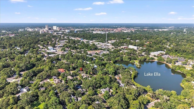 1532 Cristobal Dr, Tallahassee, FL 32303 - photo 59