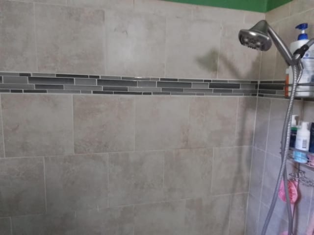 1508 Pepper Dr, Tallahassee, FL 32304 - bathroom view of a tile shower