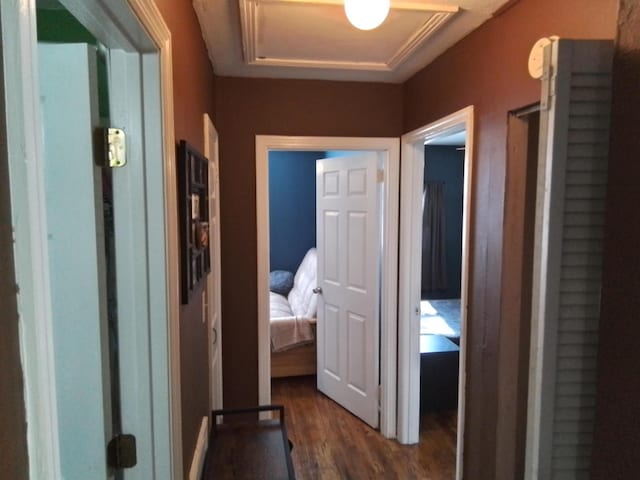 1508 Pepper Dr, Tallahassee, FL 32304 - hall featuring dark wood-style floors