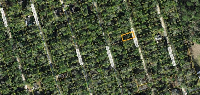 X Chicopee Rd, Crawfordville FL, 32327 land for sale