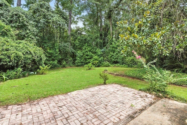 242 E Whetherbine Way, Tallahassee, FL 32301 - photo 30