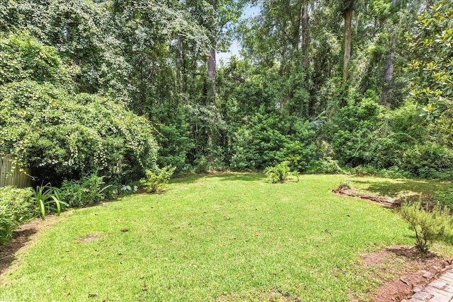 242 E Whetherbine Way, Tallahassee, FL 32301 - photo 32