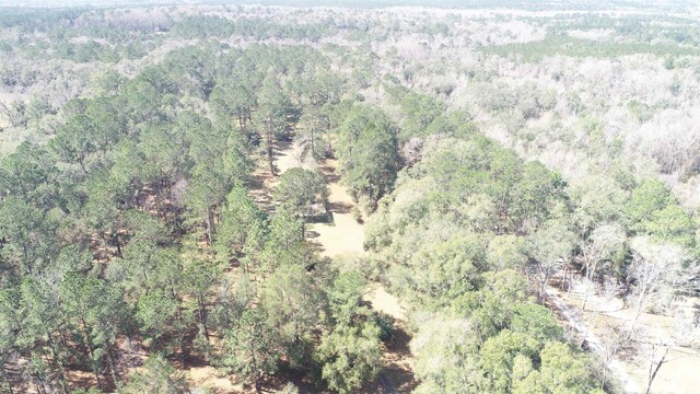 1400 Gamble Rd, Monticello, FL 32344 - photo 7