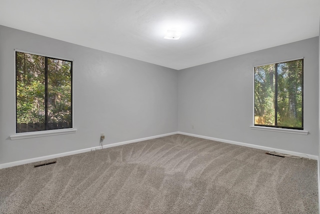 carpeted empty room with a healthy amount of sunlight