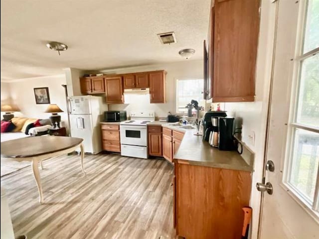 kitchen featuring a textured ceiling, plenty of natural light, light hardwood / wood-style floors, and white appliances