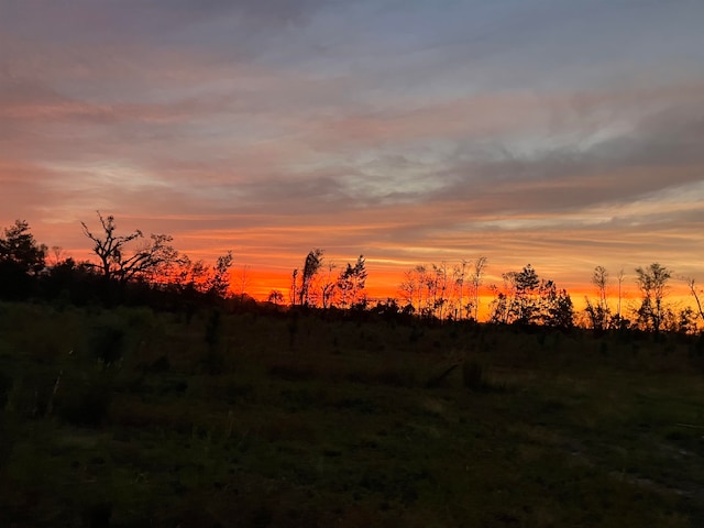 view of nature at dusk