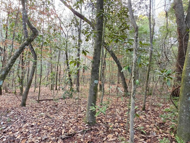 0 Williams Landing Rd Lot # 28, Tallahassee, FL 32310