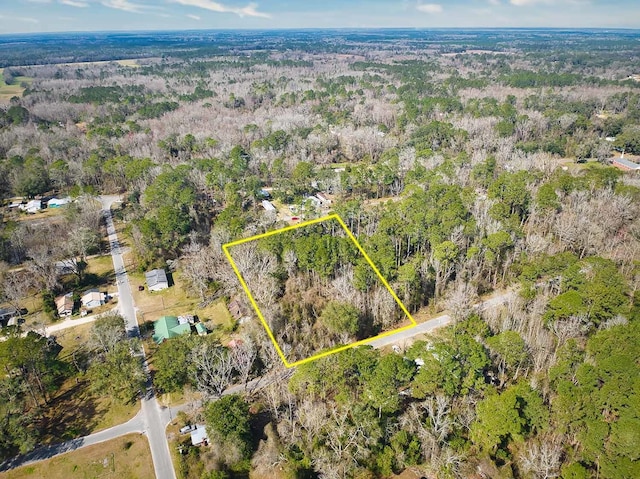 398 SW Obadiah St, Greenville FL, 32331 land for sale