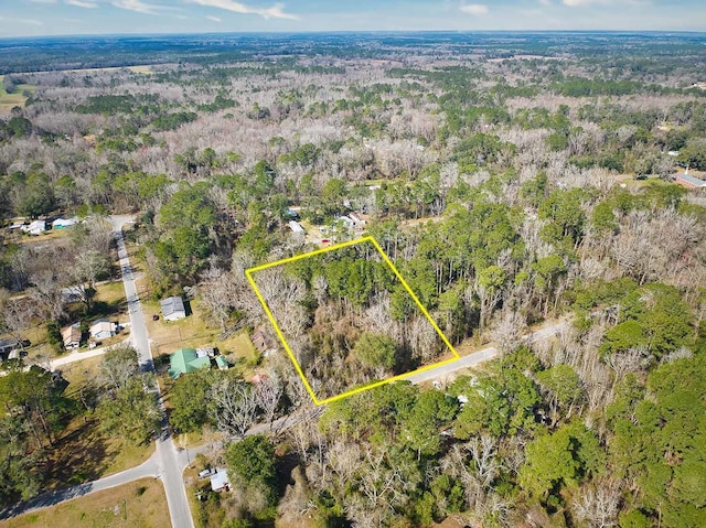 398 SW Obadiah St, Greenville, FL 32331 - photo 1