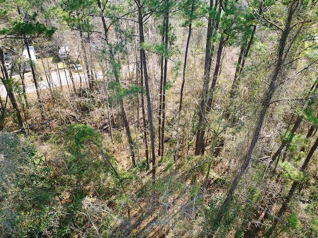 398 SW Obadiah St, Greenville, FL 32331 - photo 2