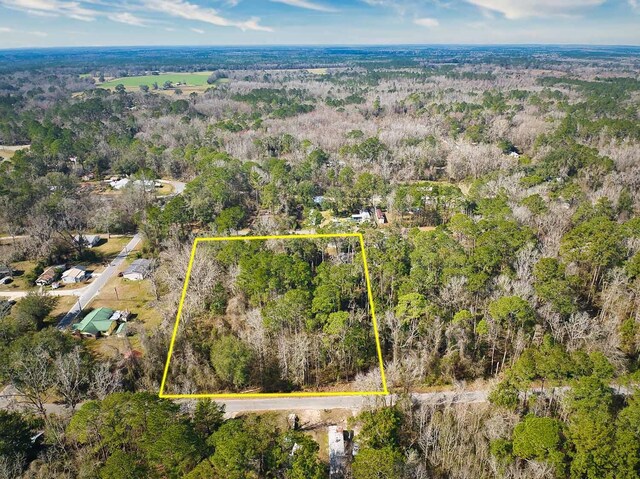 398 SW Obadiah St, Greenville, FL 32331 - photo 4