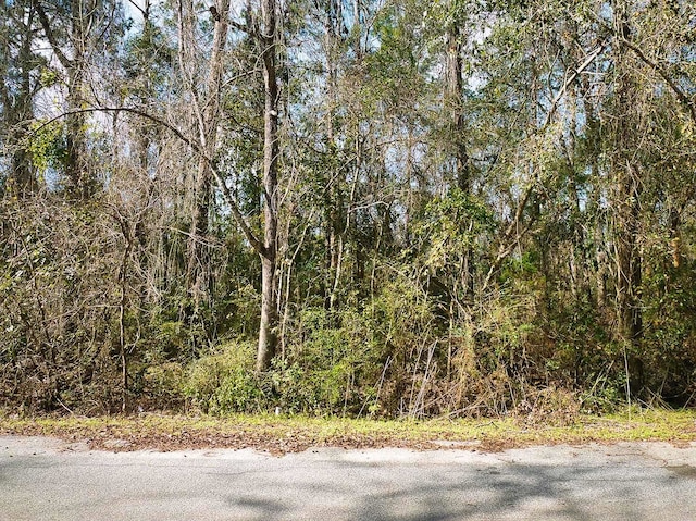 398 SW Obadiah St, Greenville, FL 32331 - photo 3