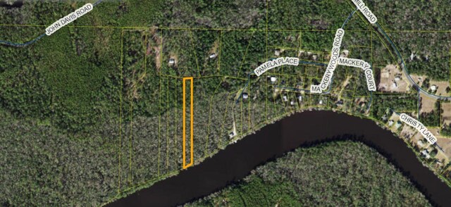 000 Pamela Pl, Sopchoppy, FL 32358 - photo 1