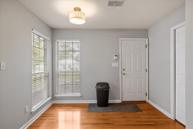 entrance foyer with wood-type flooring