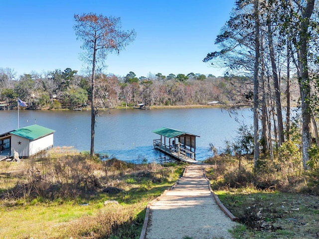 dock area with a water view