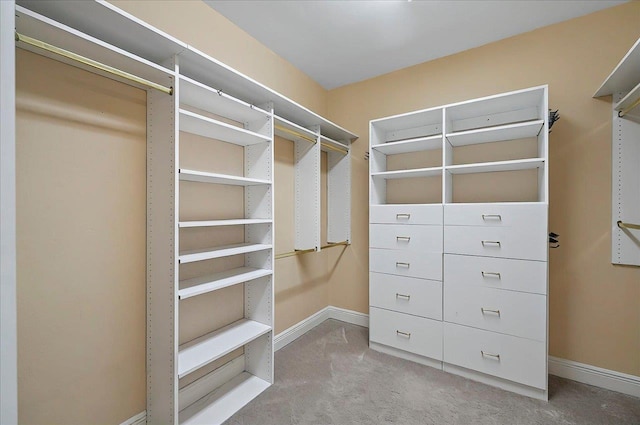 walk in closet with carpet flooring