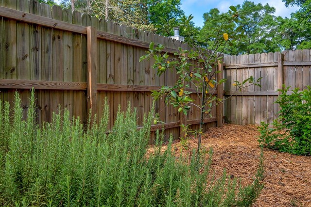 1818 Homewood Rd, Tallahassee, FL 32303 - view of yard