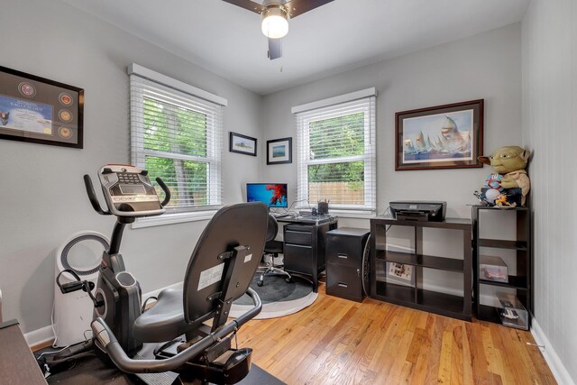 1818 Homewood Rd, Tallahassee, FL 32303 - office featuring plenty of natural light, light wood-style floors, a ceiling fan, and baseboards