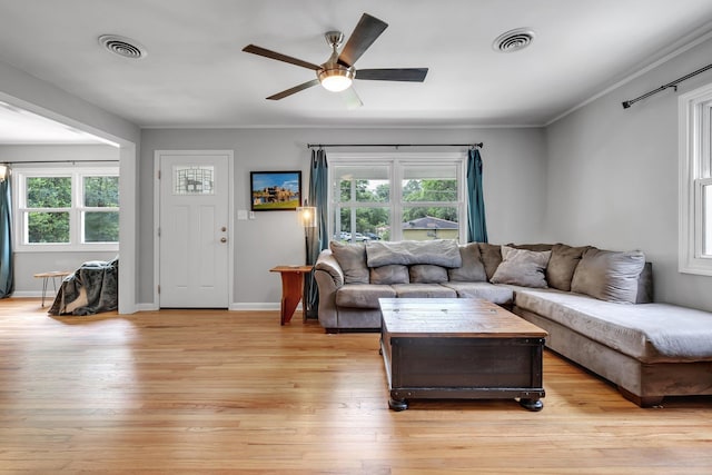 1818 Homewood Rd, Tallahassee, FL 32303 - living room featuring plenty of natural light, ceiling fan, light wood-type flooring, ornamental molding, and baseboards