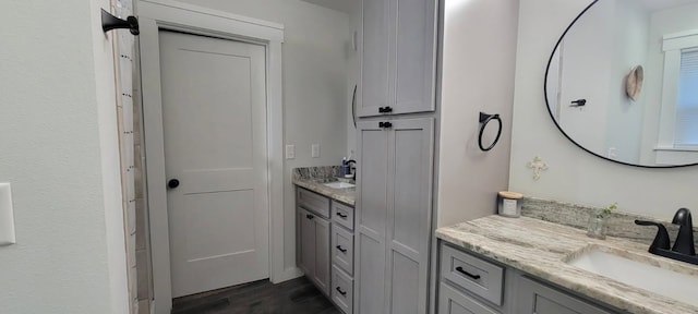 bathroom featuring vanity and wood-type flooring