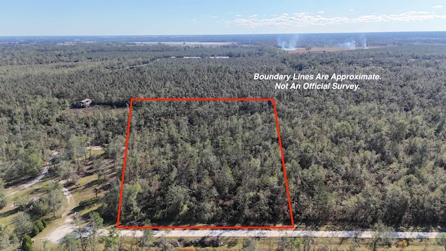 VACANT SE Blackhawk Dr, Lee FL, 32059 land for sale