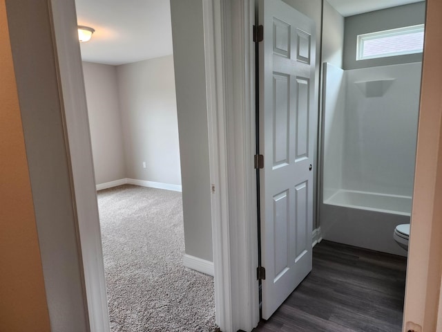1037 Lacey Ln, Tallahassee, FL 32304 - photo 7