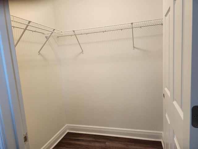 1037 Lacey Ln, Tallahassee, FL 32304 - photo 12