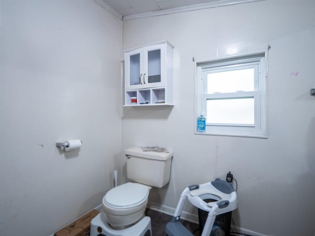 bathroom with wood-type flooring and toilet