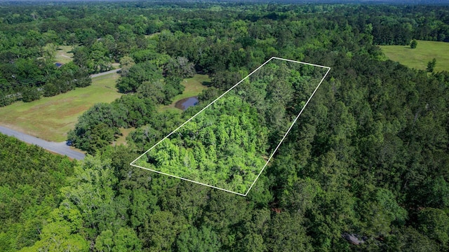 14008 Godbold Rd, Tallahassee, FL 32309