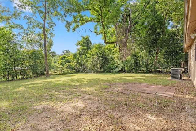 810 S Lipona Rd, Tallahassee, FL 32304 - photo 24