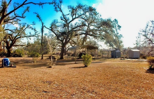 view of yard with a storage shed