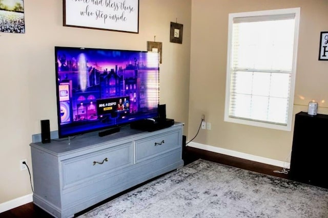 living room with hardwood / wood-style flooring