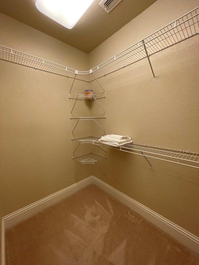 spacious closet featuring carpet floors