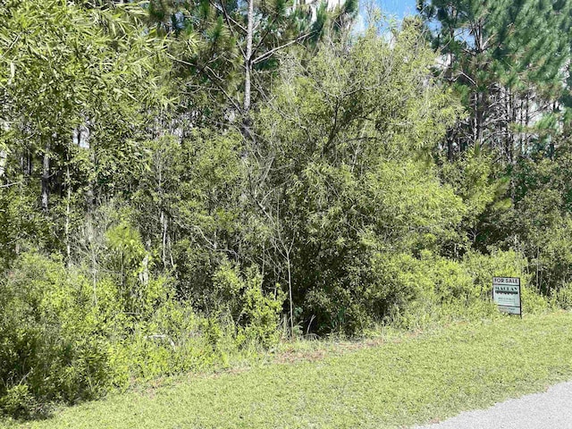 913 NE 6th St, Carrabelle, FL 32322