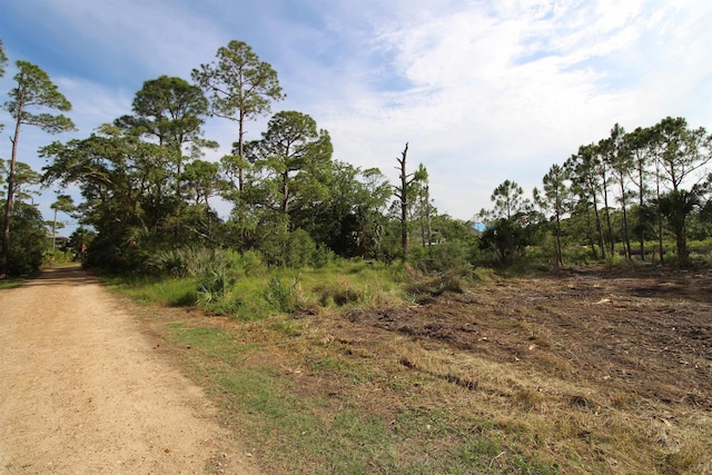20 George Vause Rd, Alligator Point, FL 32346