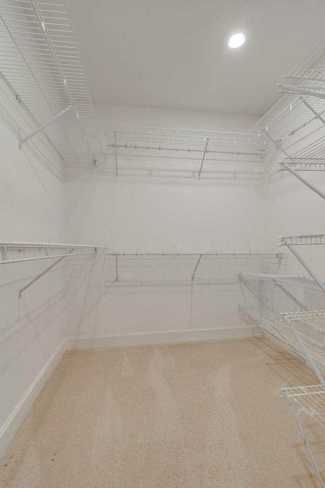 walk in closet featuring carpet flooring