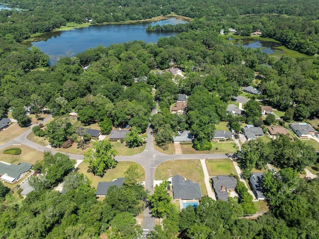4601 Killimore Ln, Tallahassee, FL 32309 - view of property location featuring a heavily wooded area, a nearby body of water, and nearby suburban area