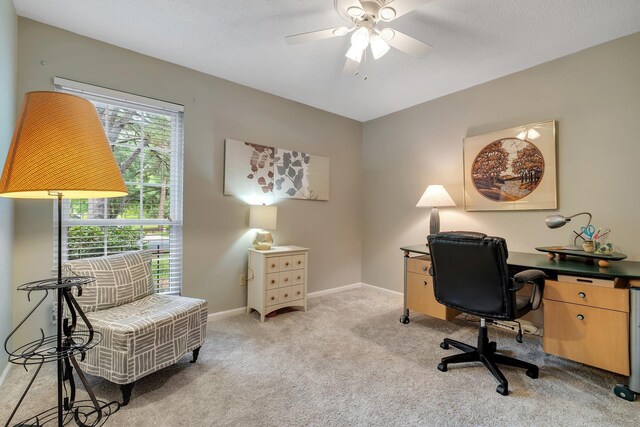 2920 Edenderry Dr, Tallahassee, FL 32309 - photo 16