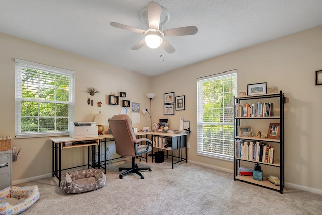 2920 Edenderry Dr, Tallahassee, FL 32309 - photo 13