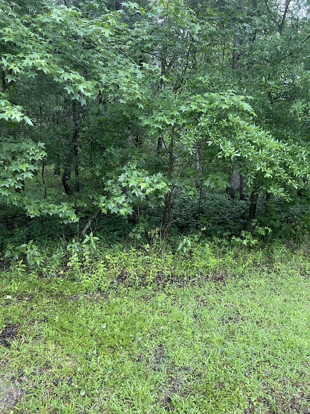 0 NE Cassia Dr, Lee, FL 32059 - photo 1