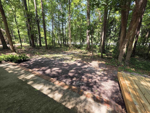 9369 Buck Haven Trl, Tallahassee, FL 32312 - view of road featuring a view of trees