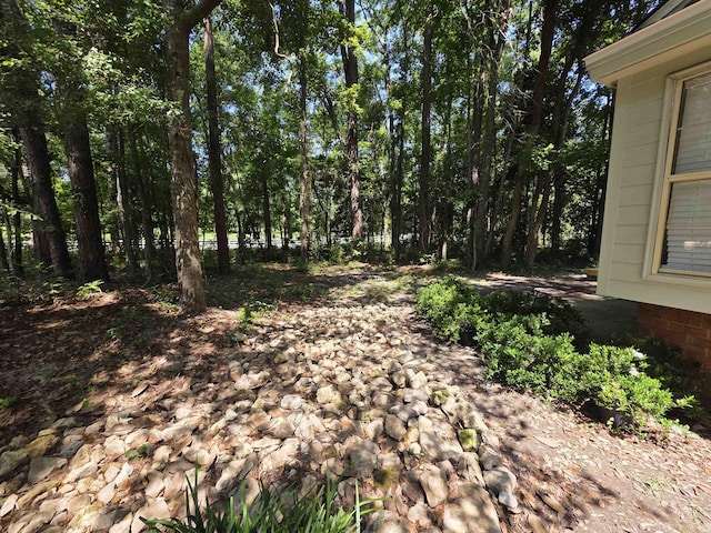 9369 Buck Haven Trl, Tallahassee, FL 32312 - view of yard