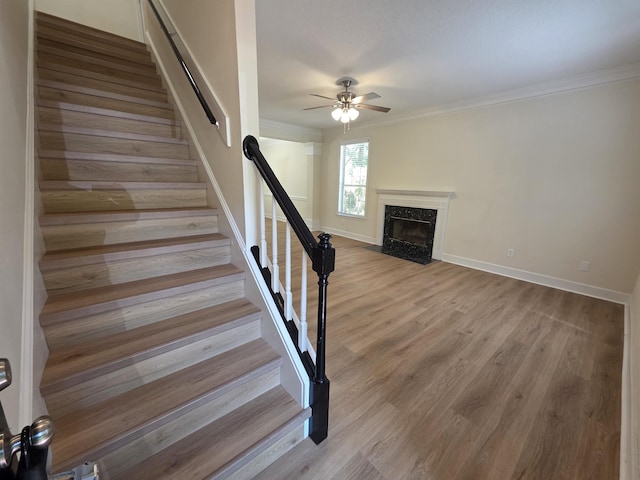 9369 Buck Haven Trl, Tallahassee, FL 32312 - stairs featuring ceiling fan, a premium fireplace, ornamental molding, and wood finished floors