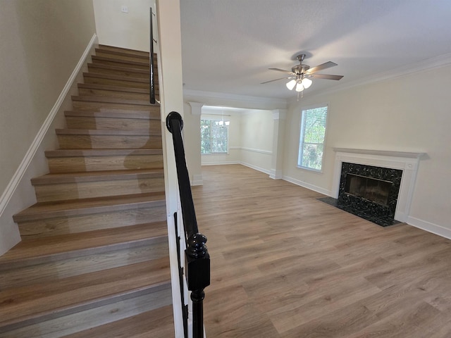 9369 Buck Haven Trl, Tallahassee, FL 32312 - stairs featuring ceiling fan, a premium fireplace, wood finished floors, and crown molding
